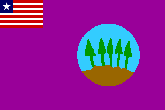 Bomi County flag